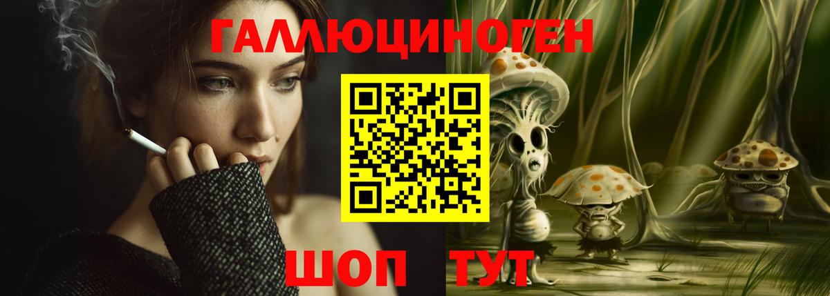 Галлюциногенные грибы Psilocybine cubensis Люберцы